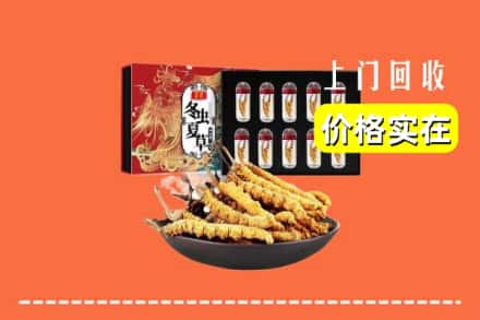 五台县回收冬虫夏草