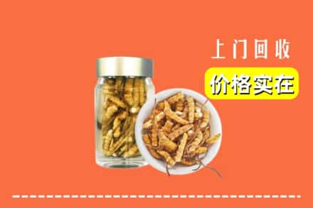 诚信求购:五台县高价回收散虫草