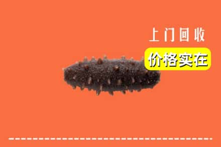 诚信求购:五台县高价回收海参