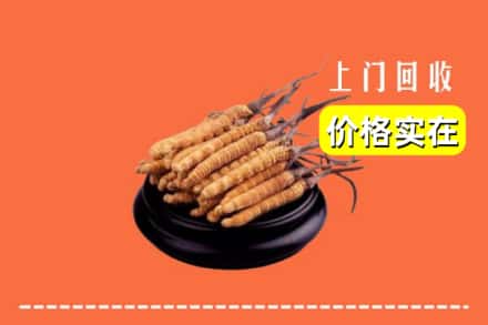 诚信求购:五台县高价回收冬虫夏草